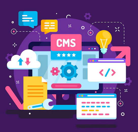 custom software development