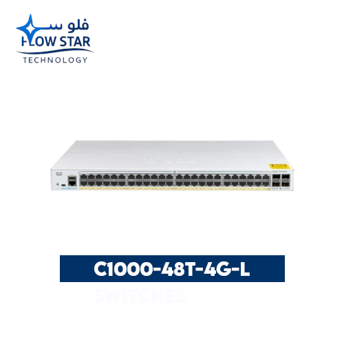 C1000-48T-4G-L Switches