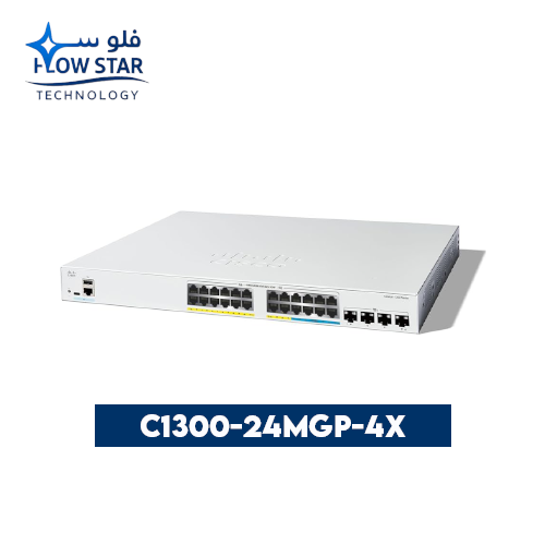 C1300-24MGP-4X Switches