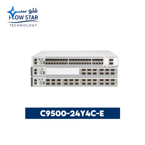 C9500 24Y4C E Switches